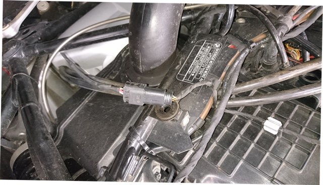 Stecker 1.JPG