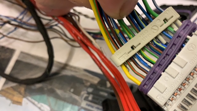 Stecker  3.JPG