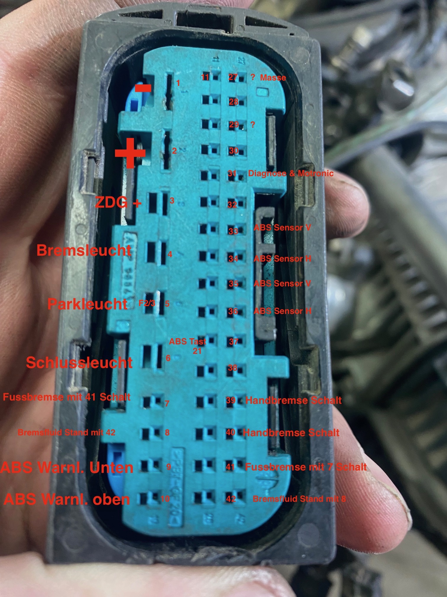 Stecker Belegung.jpg