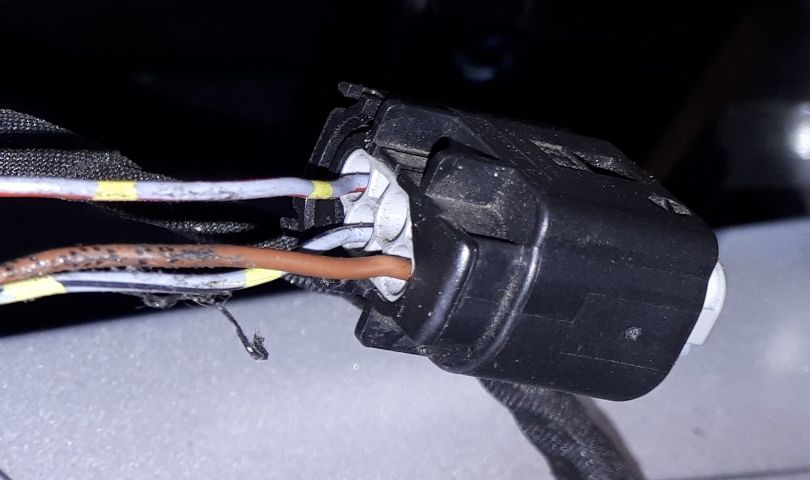 Stecker.jpg