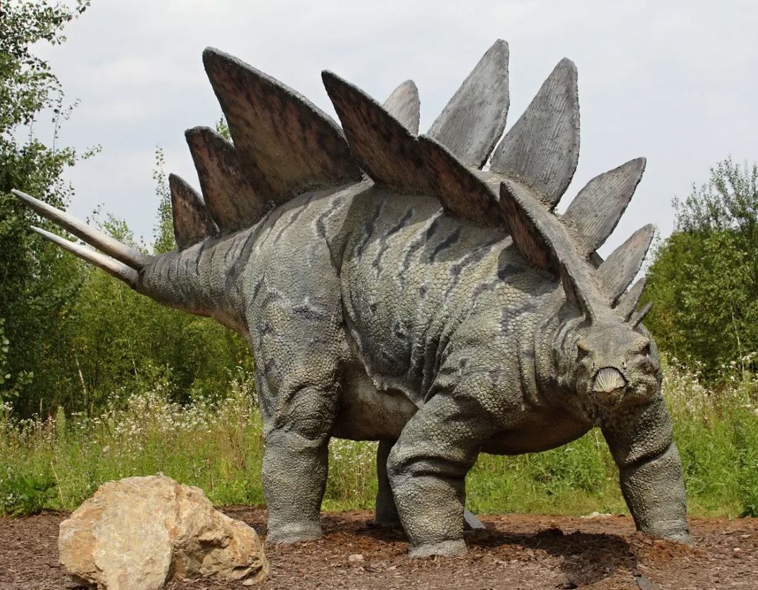 Stegosaurus.JPG