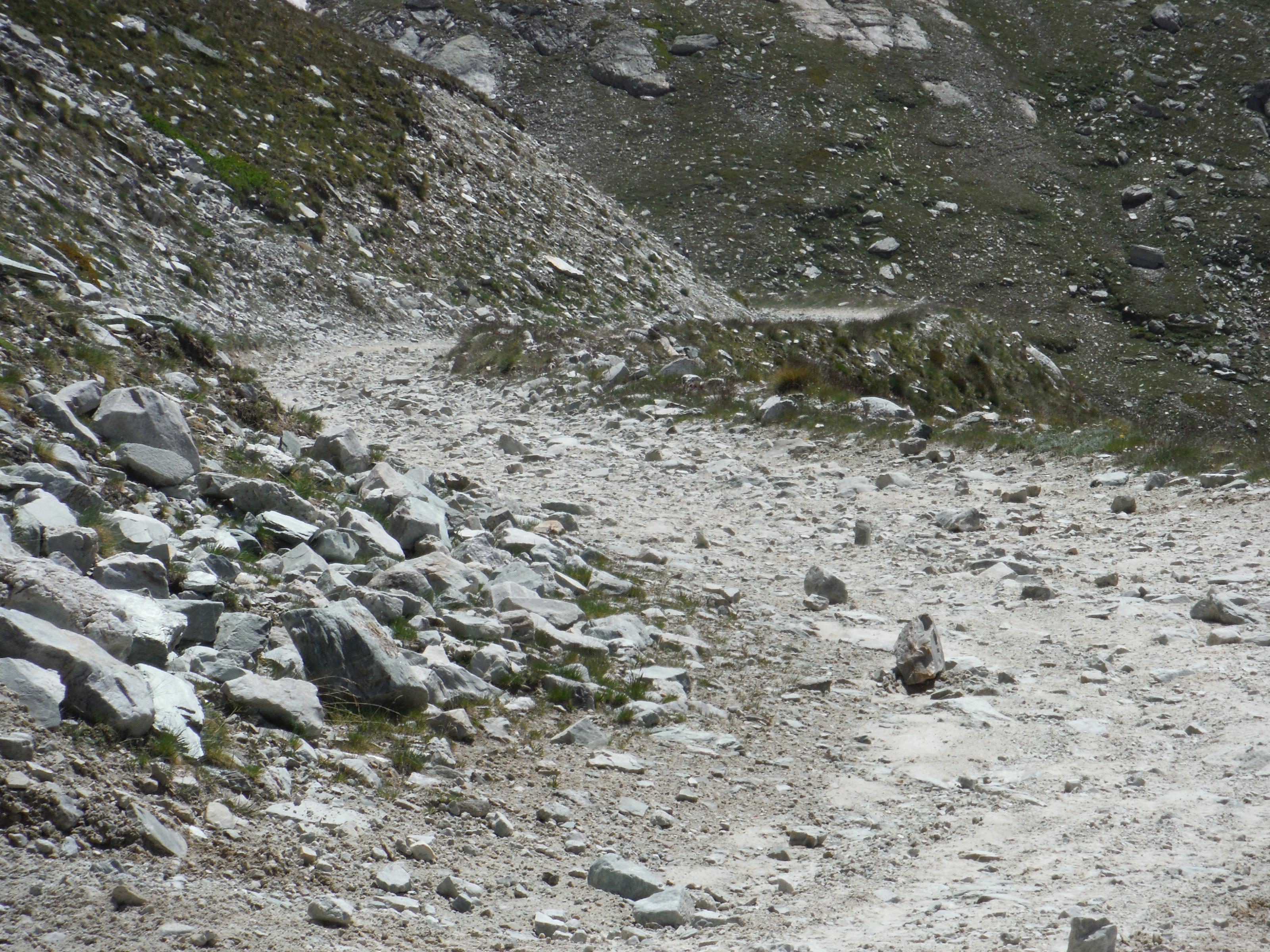 Stella Alpina 2018 (36).jpg