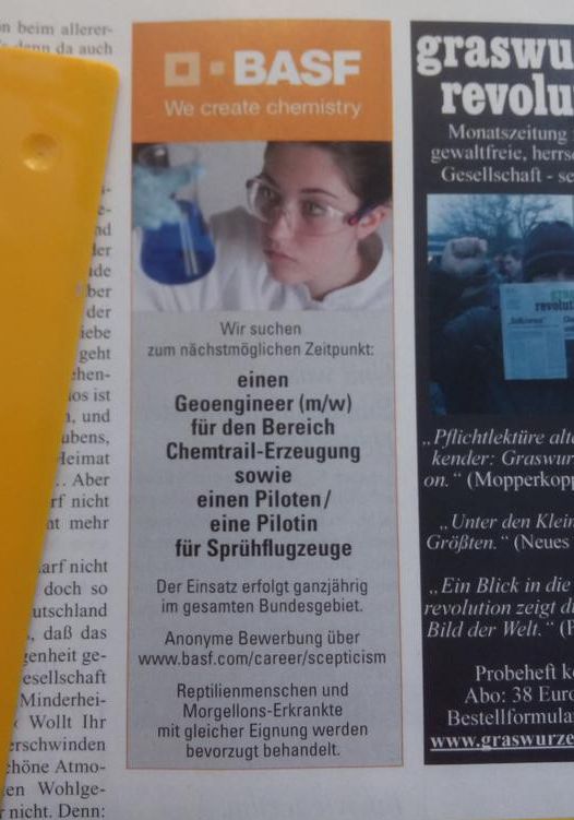 stelle.jpg