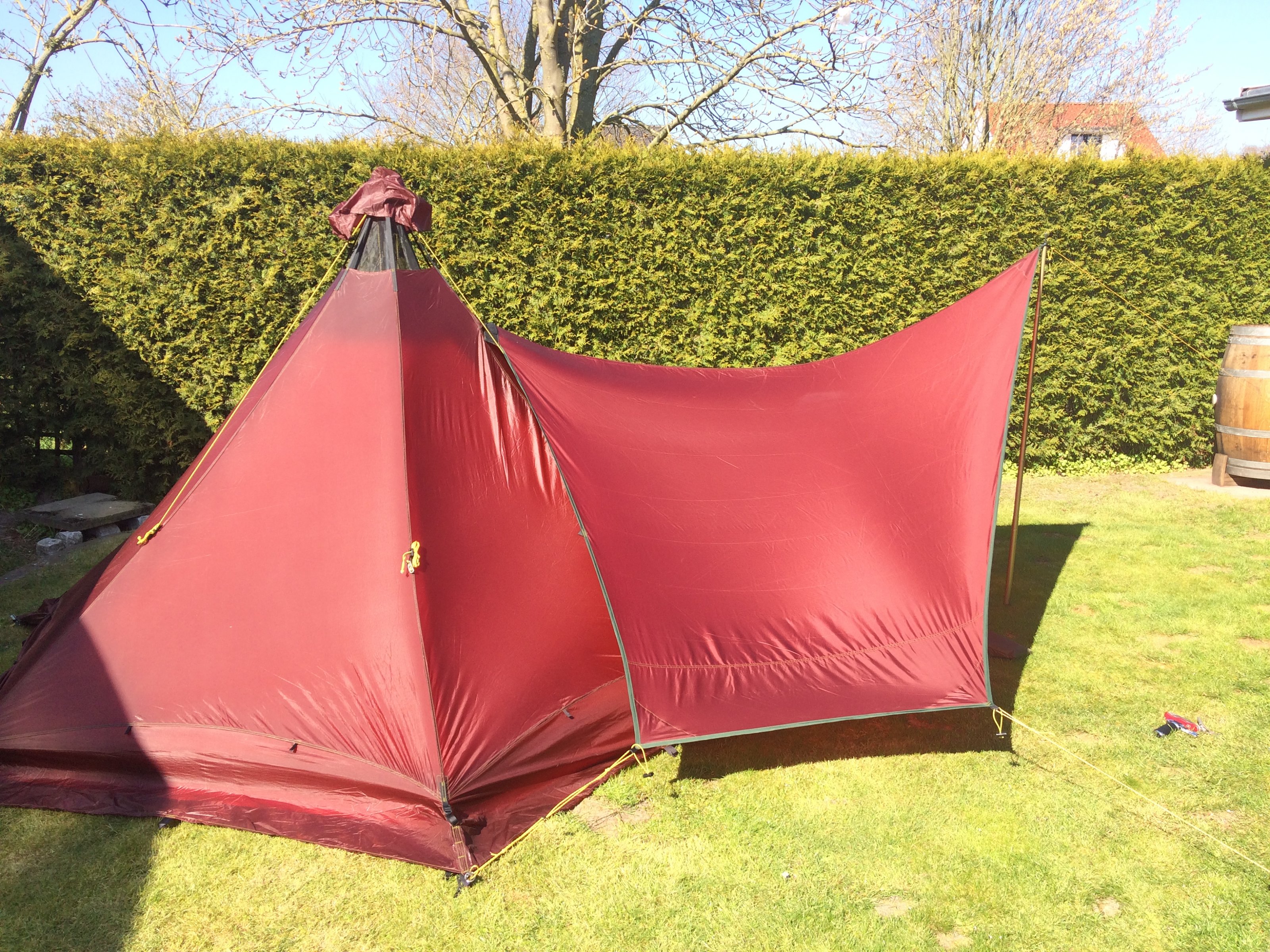 Tarp Olivin-006.JPG