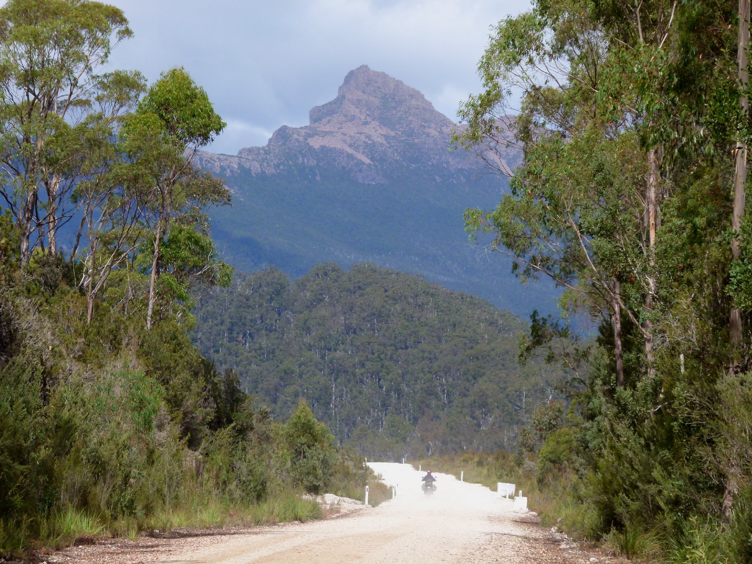 Tassie14_0196.JPG