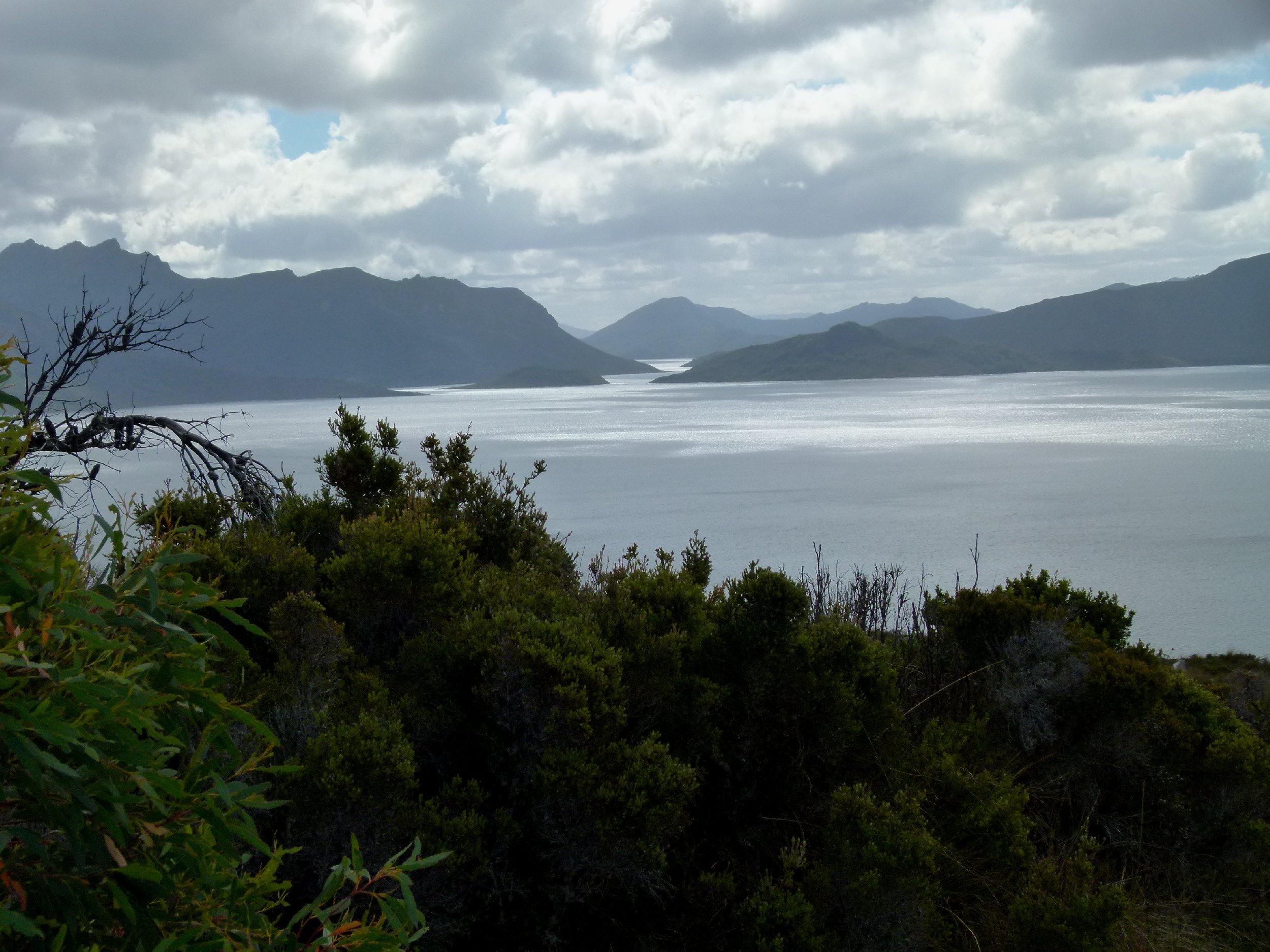Tassie14_0208.JPG