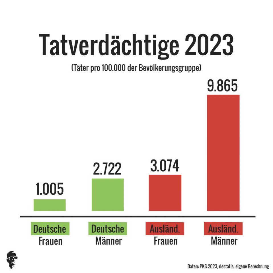 Tatverdächtige nach Geschlecht Ausländer vs Deutsche 2023.jpeg