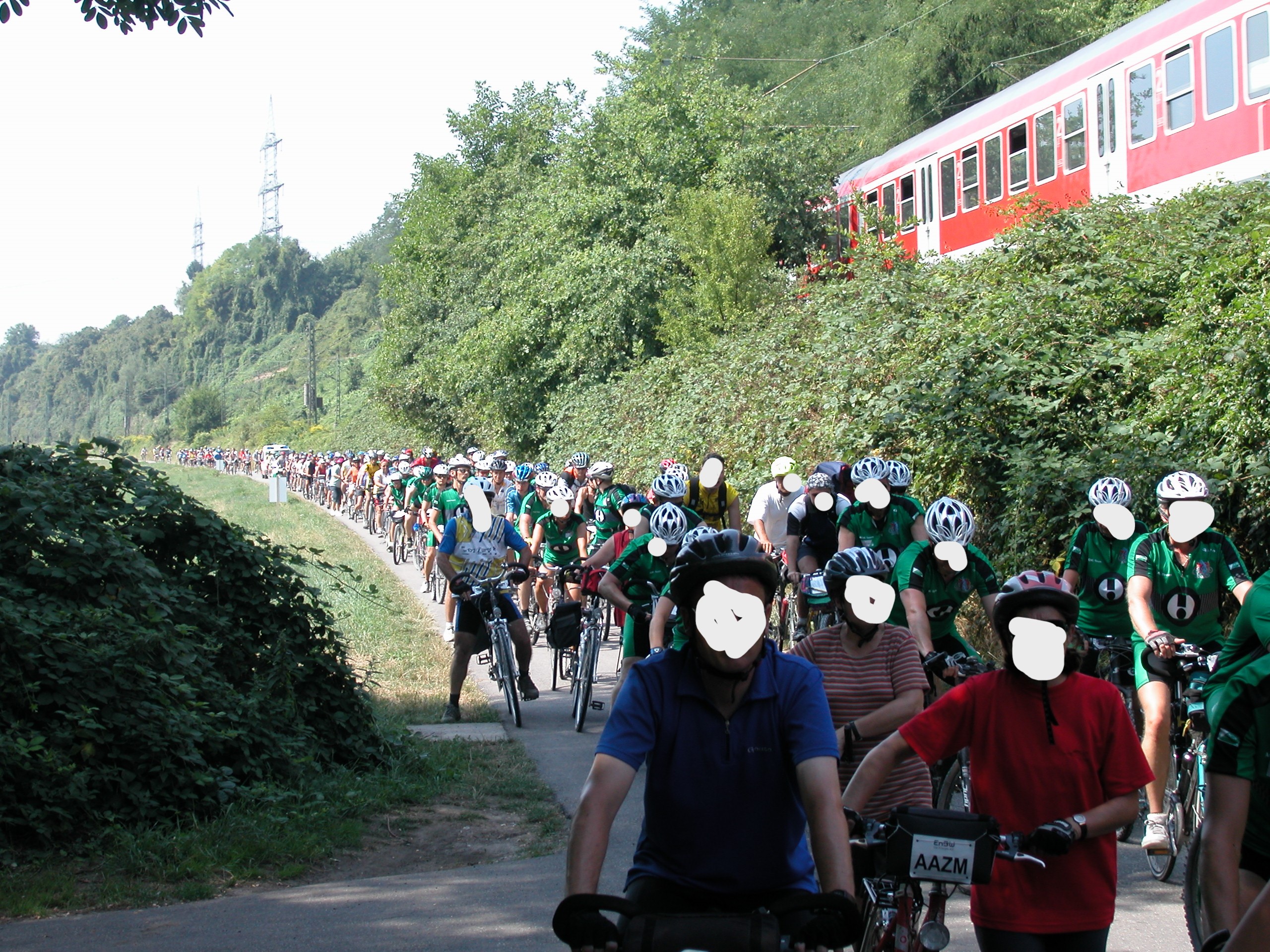 tdl 3.JPG