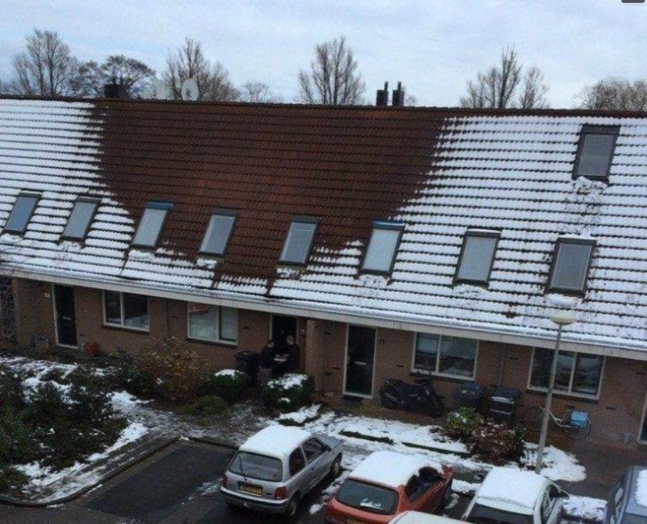 the roof.jpg