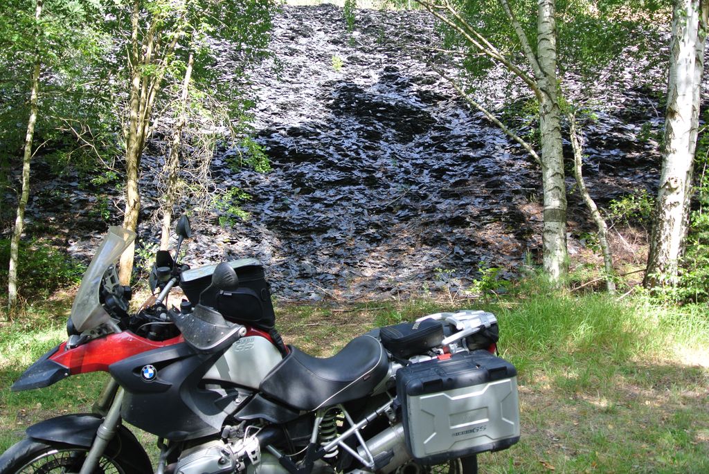 thuer18_09g.jpg