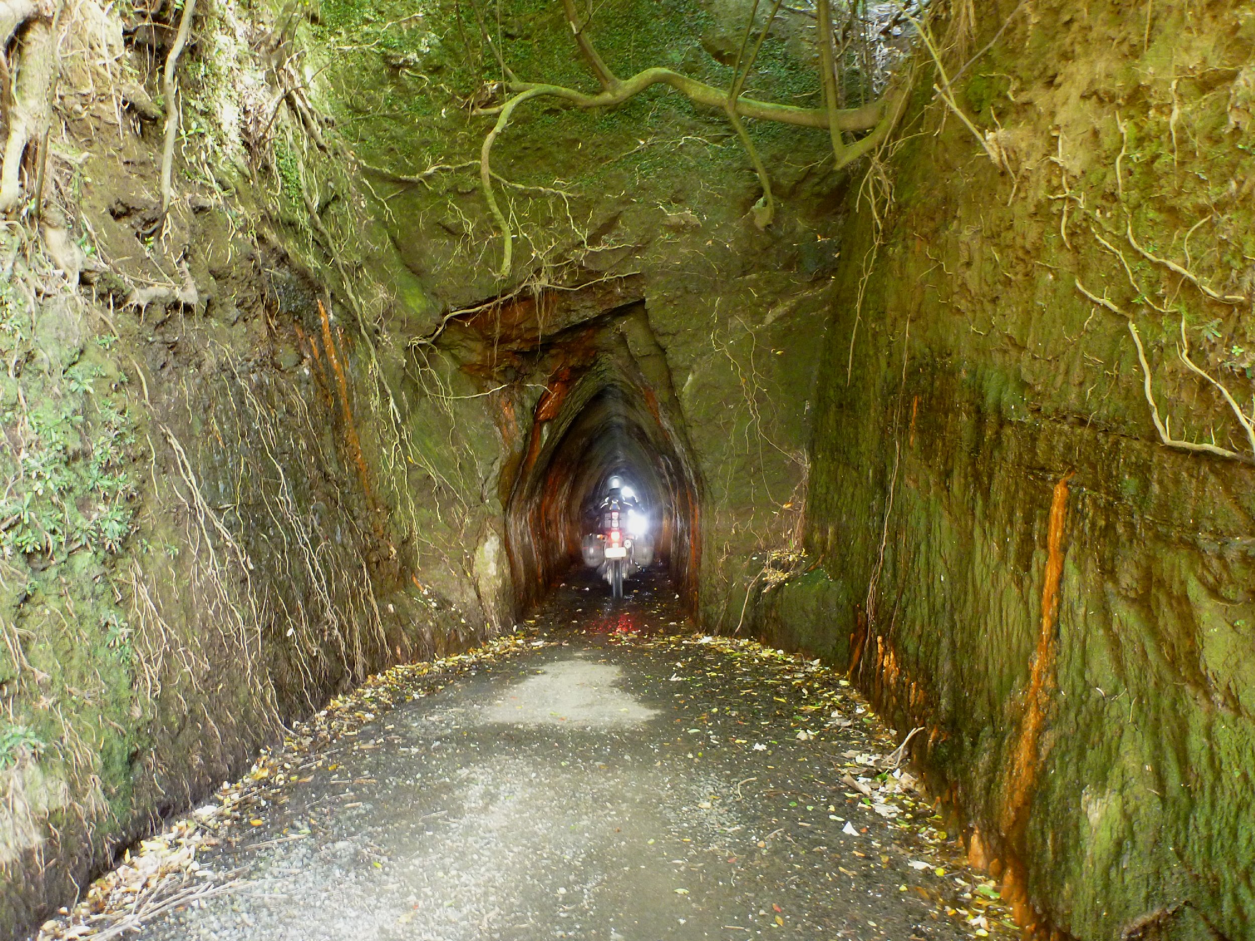 TimSF_NZ12_0024.JPG