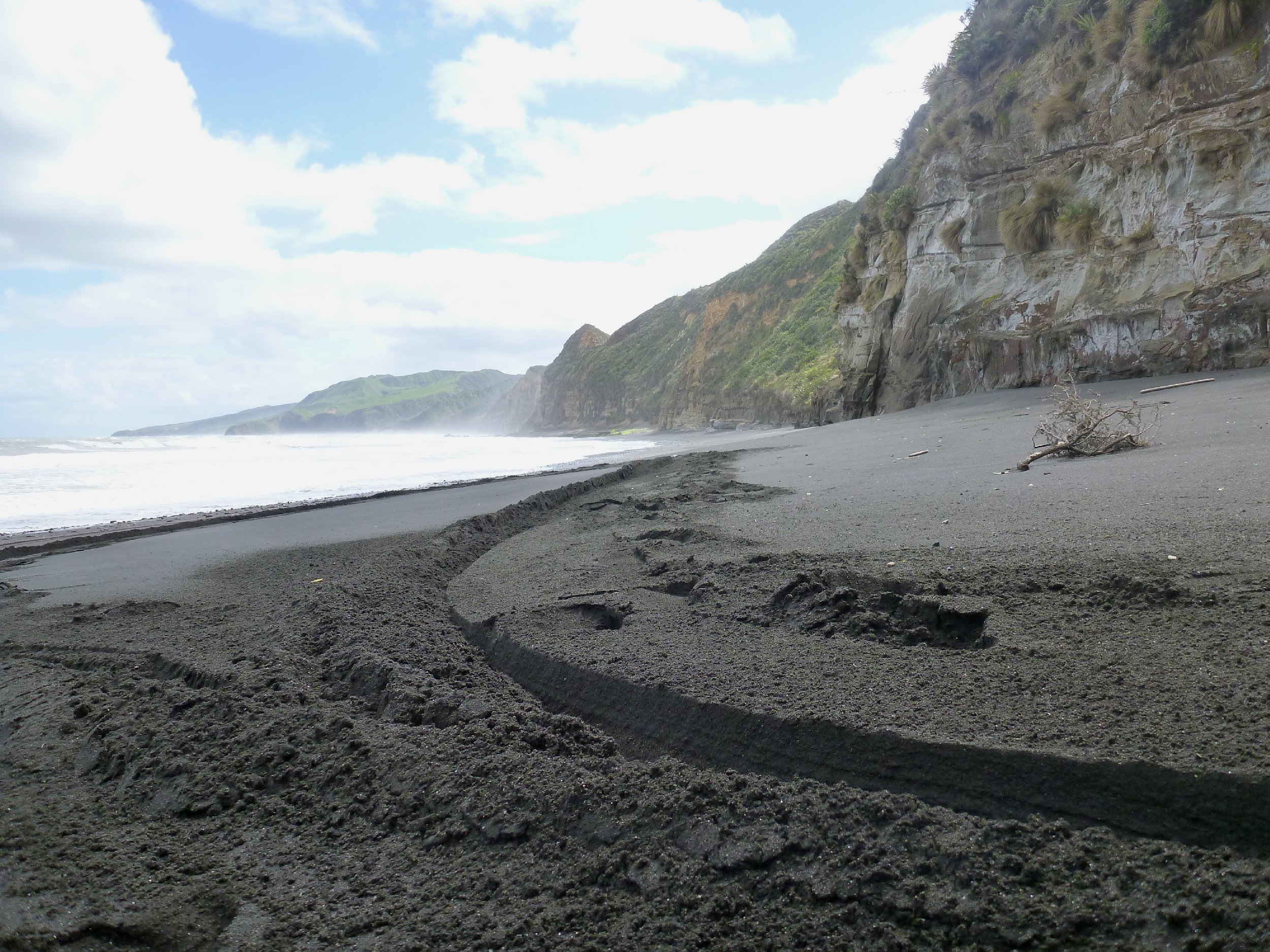TimSF_NZ12_0028.JPG