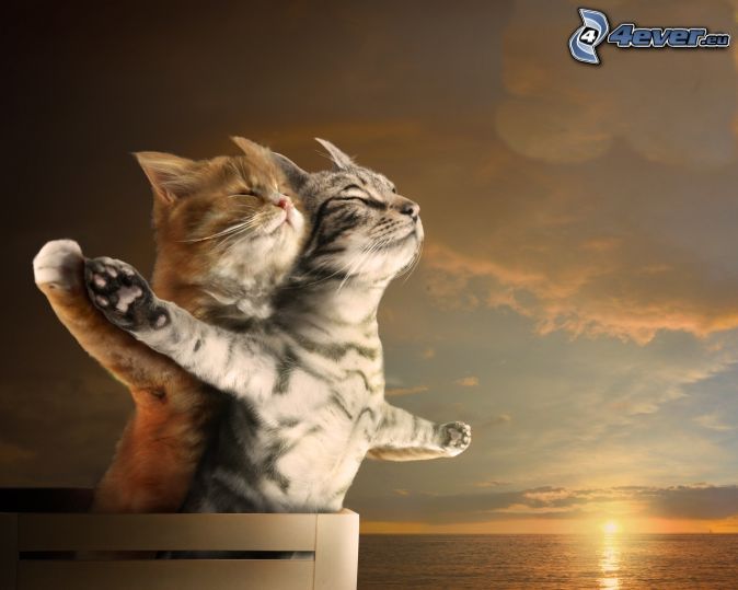 Titanic.jpg
