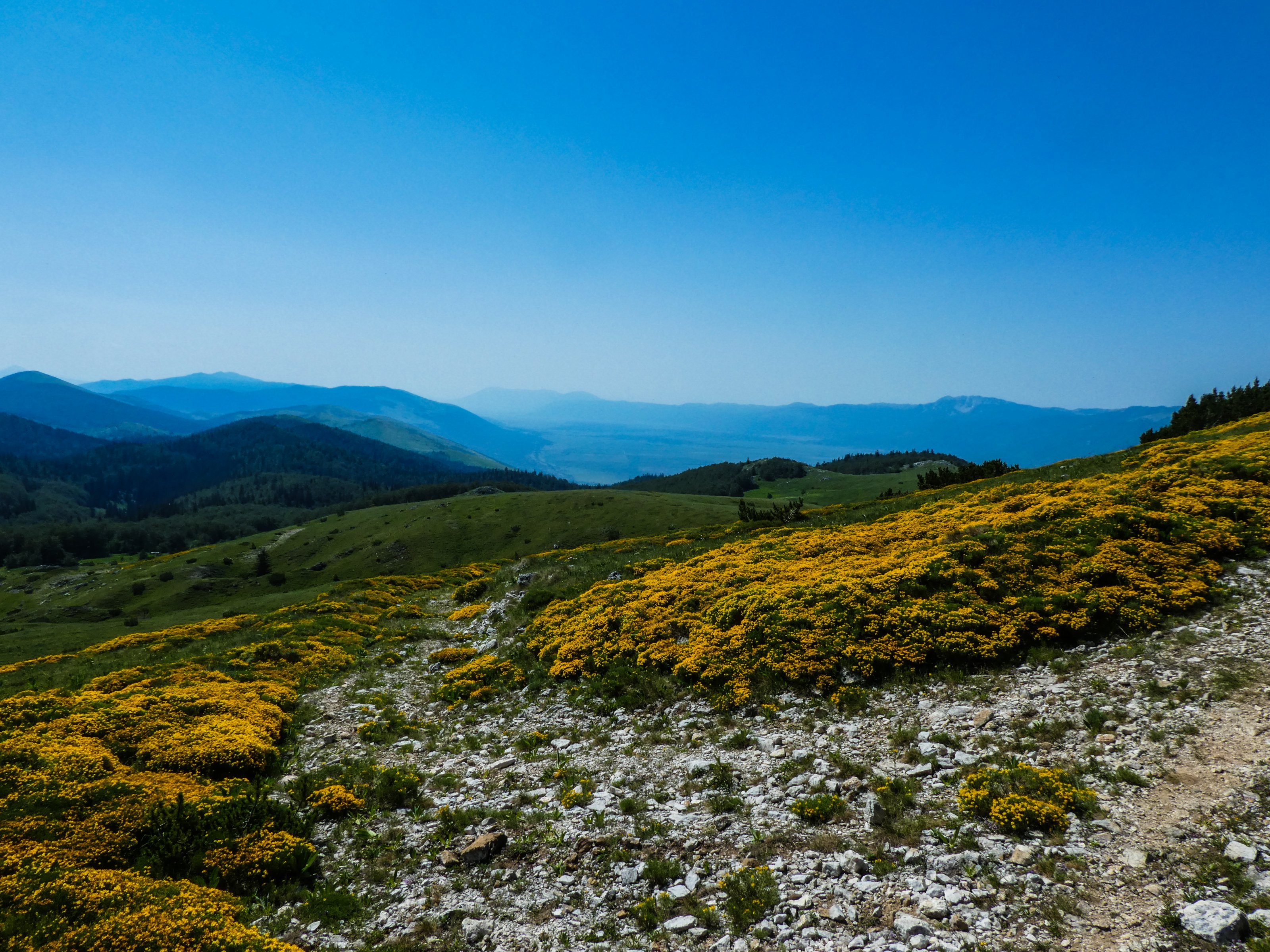 TOP Biggi Sator Oben (14)_edited.jpg