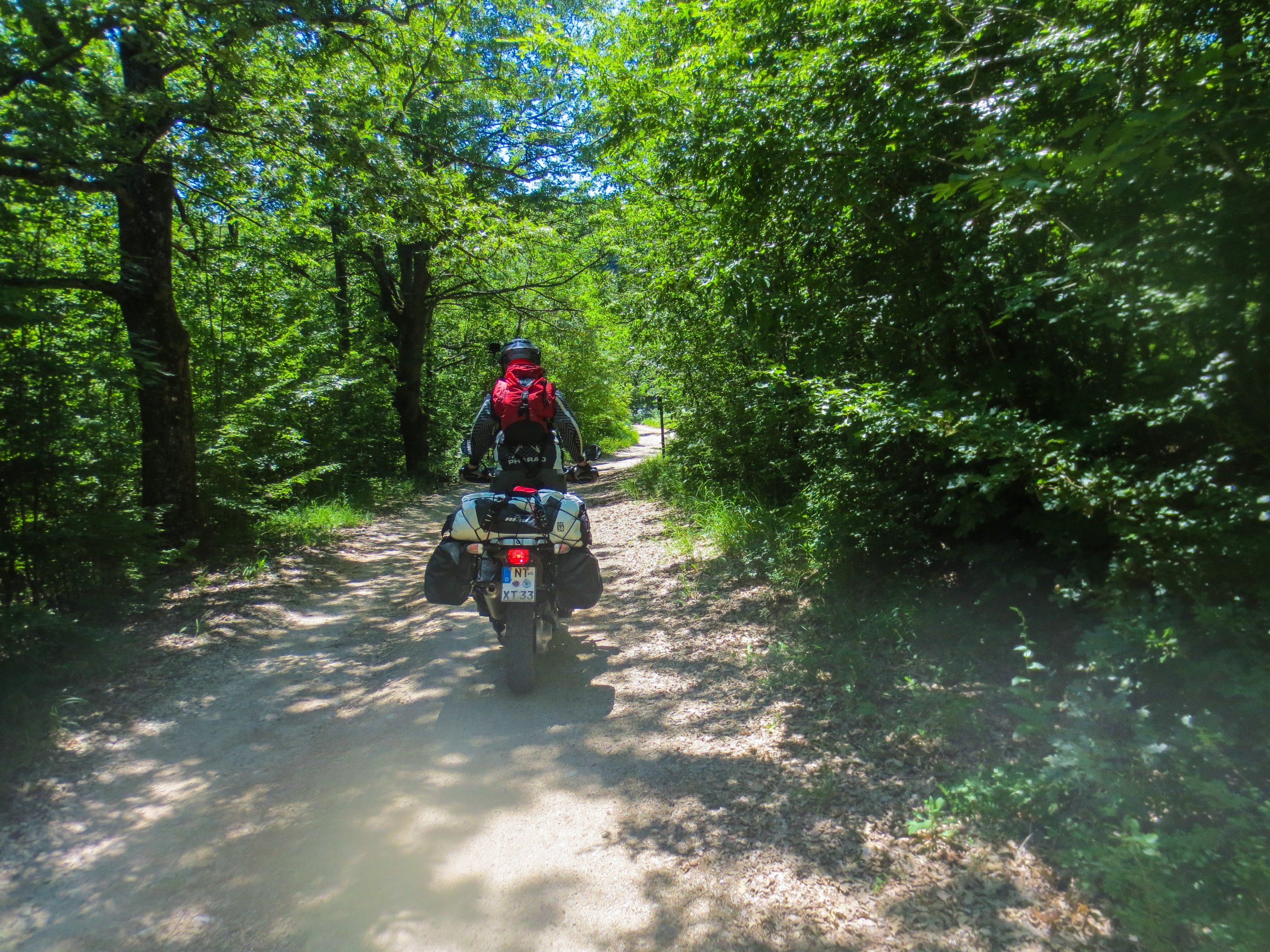 UNA Nationaltag (32)_edited.jpg