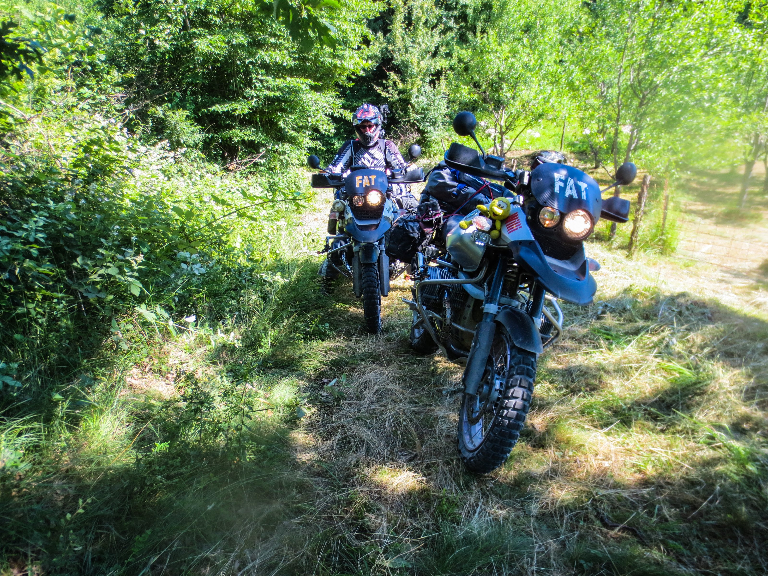 UNA Nationaltag (52)_edited.jpg