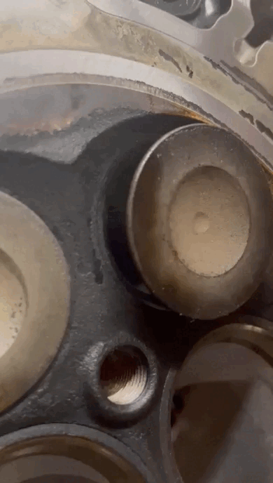 VID-20230403-WA0025(5).gif