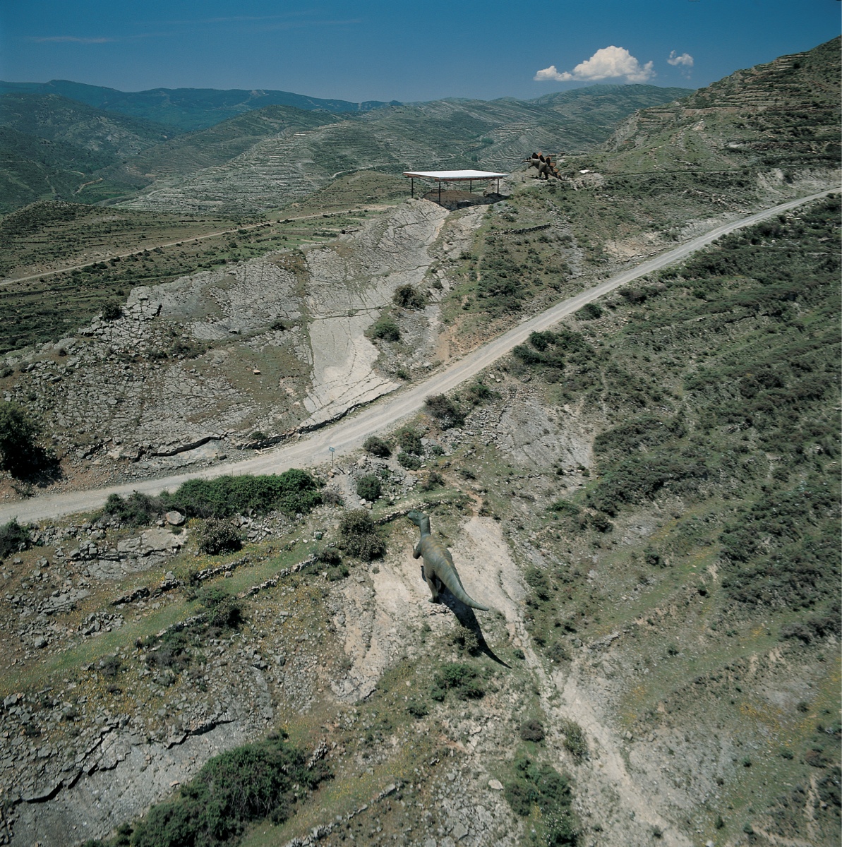 Vista-aerea-figuras-de-dinosaurios-Enciso.jpg
