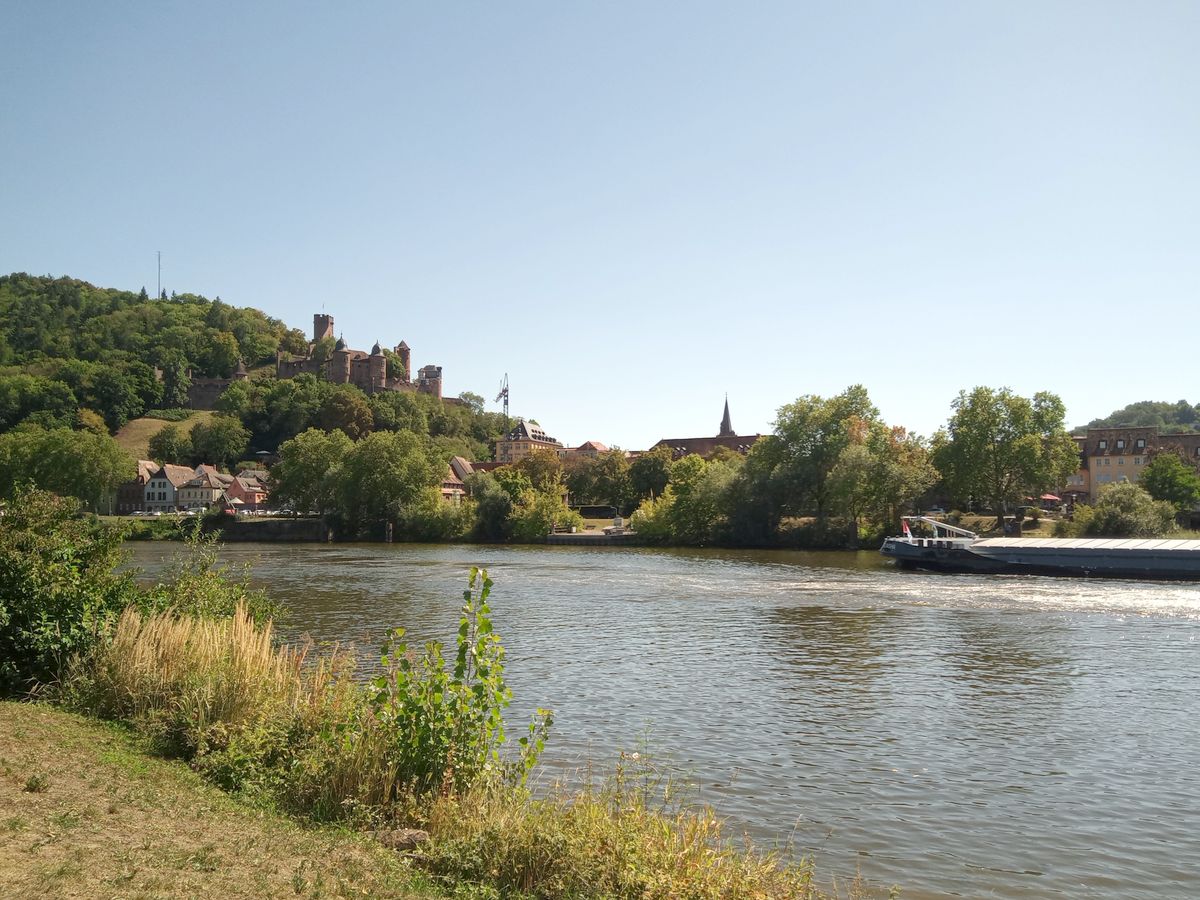 w1.jpg