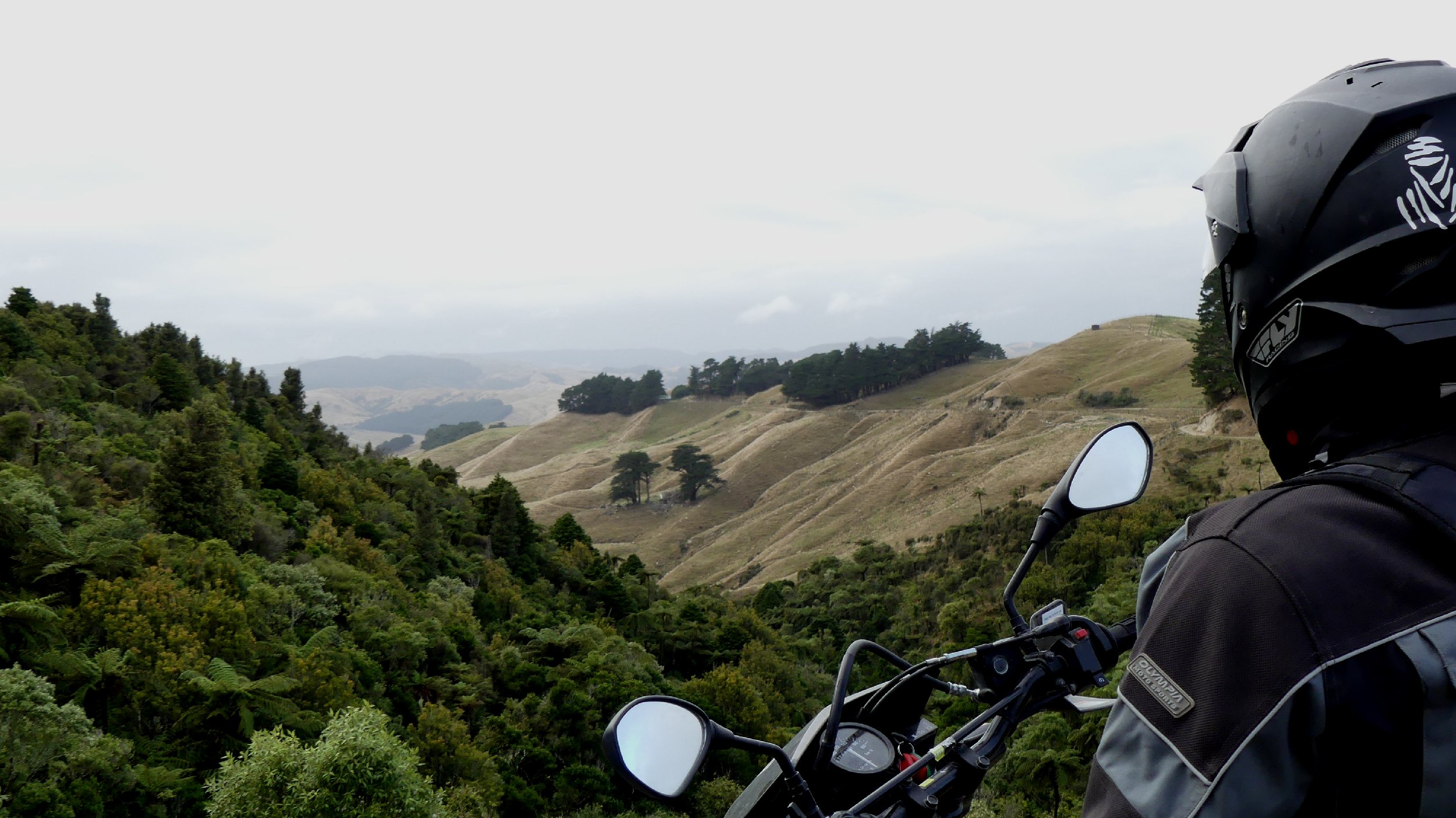 Wairarapa_157.JPG