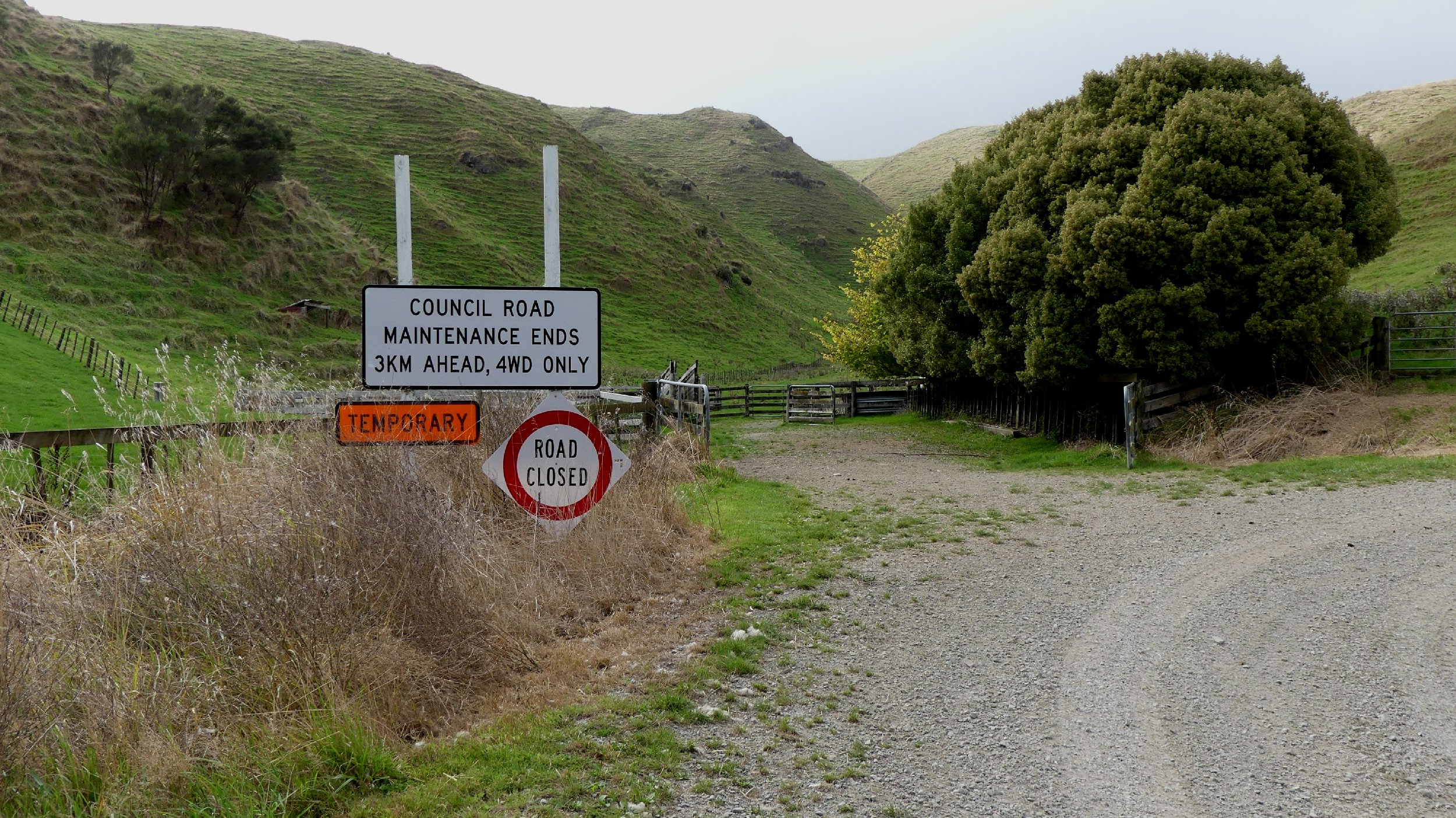 Wairarapa_162.JPG