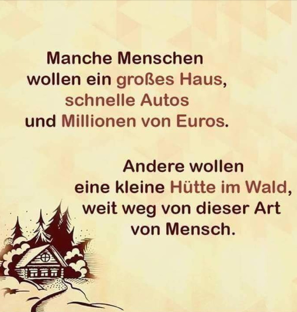 wald hütte.jpg