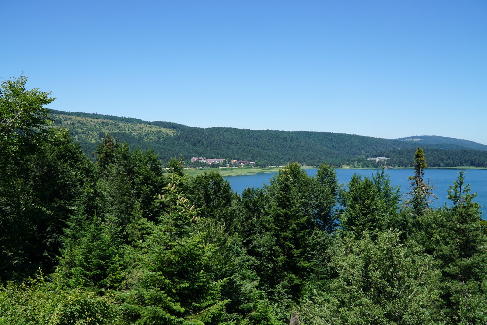 Wald mit See.jpg