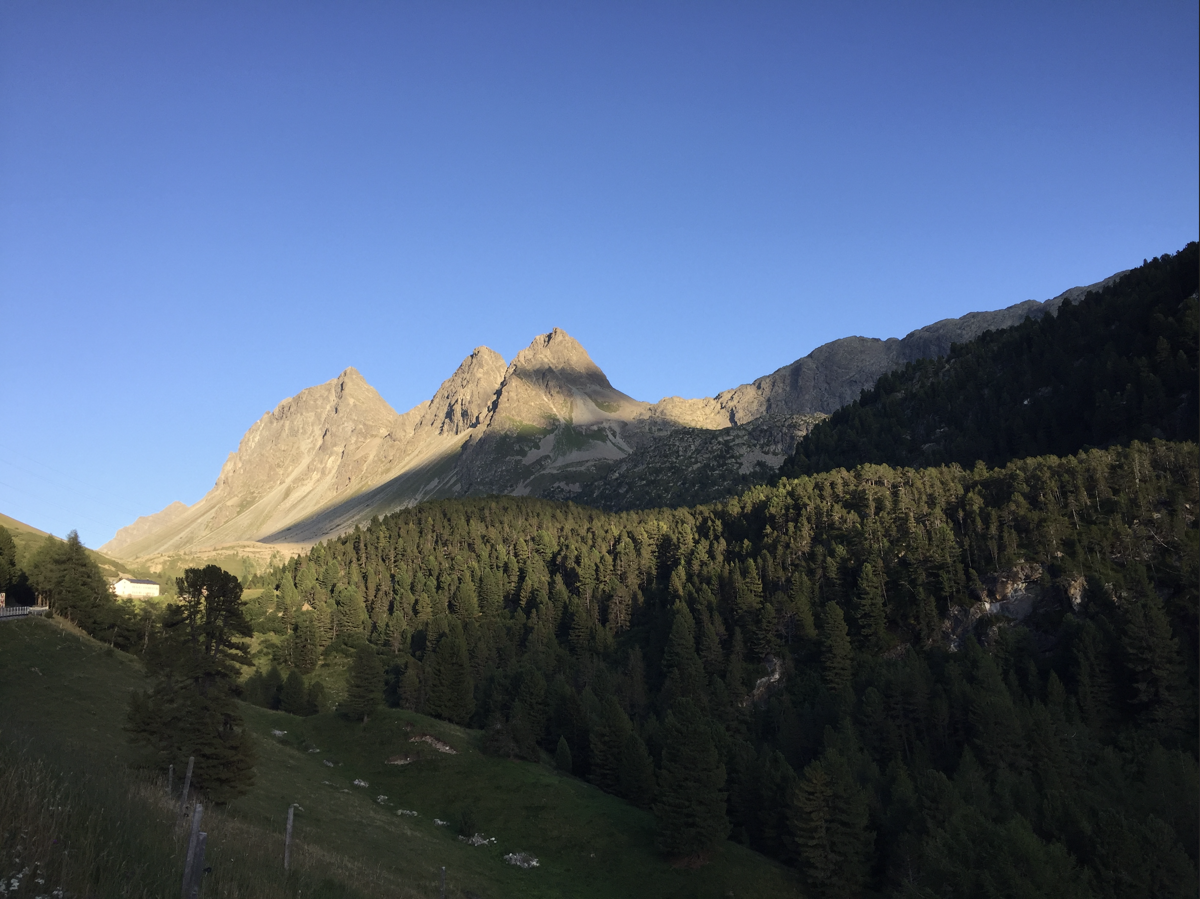 Wald und Berge.png