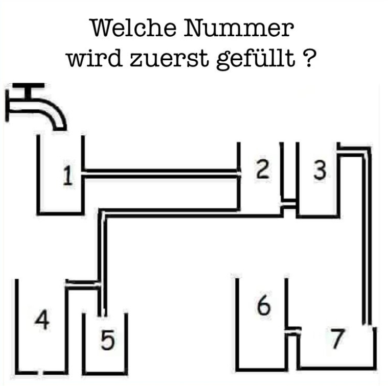 wass.jpg