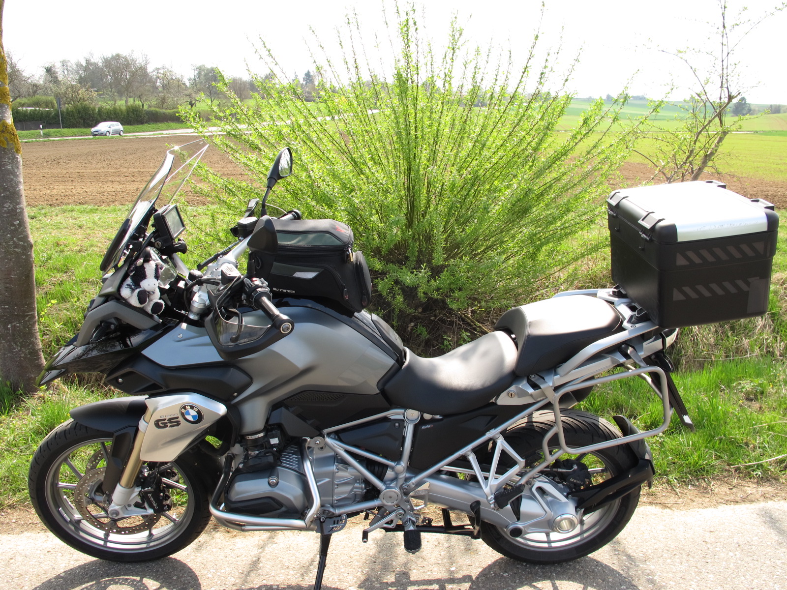 Weide 019.JPG