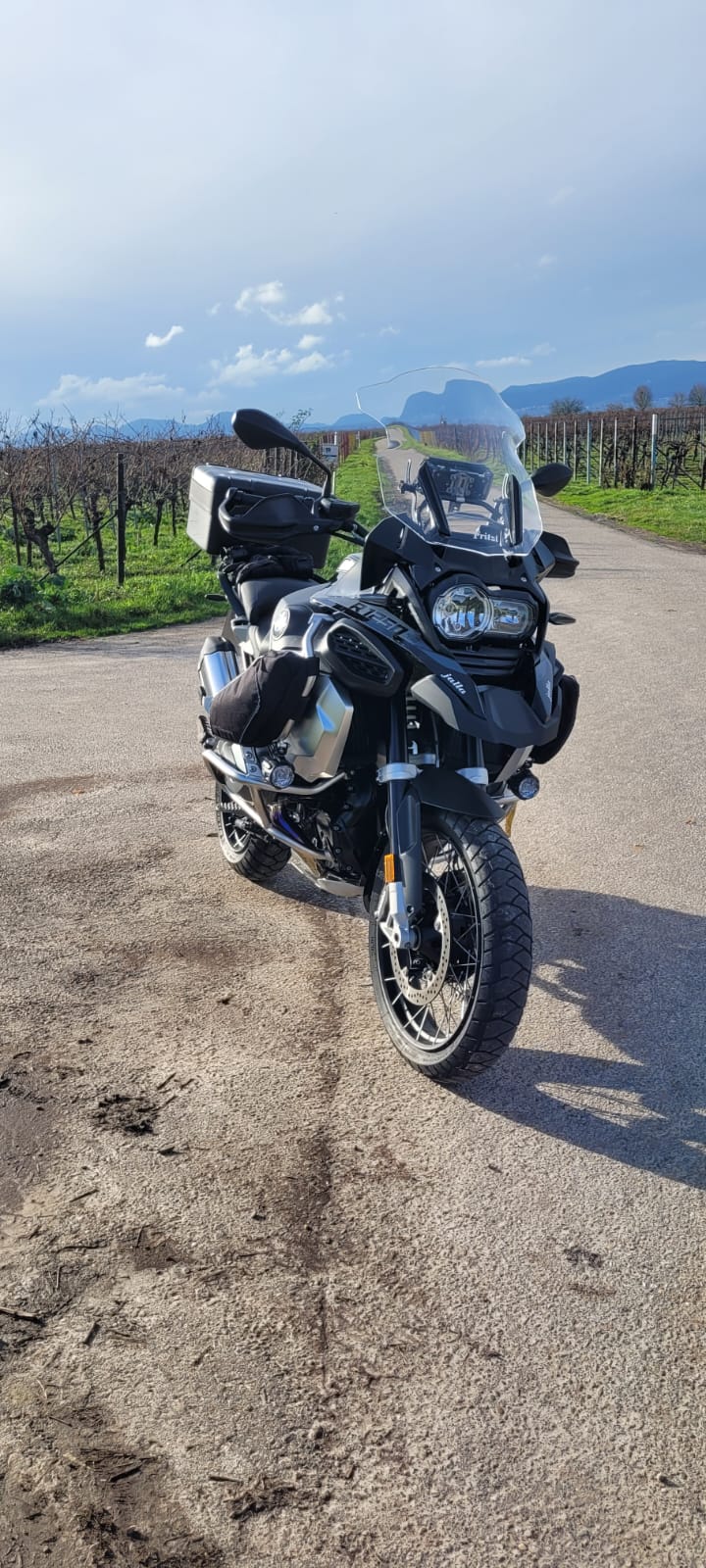Weinberge und Pfälzerwald.jpeg