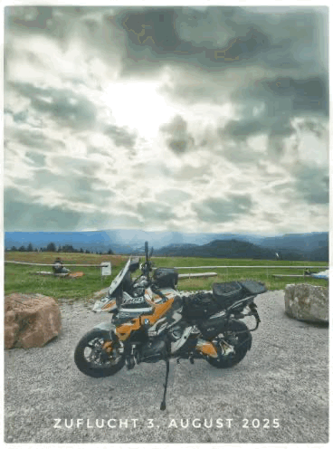 WhatsApp GIF 2025-08-03 at 19.02.35.gif