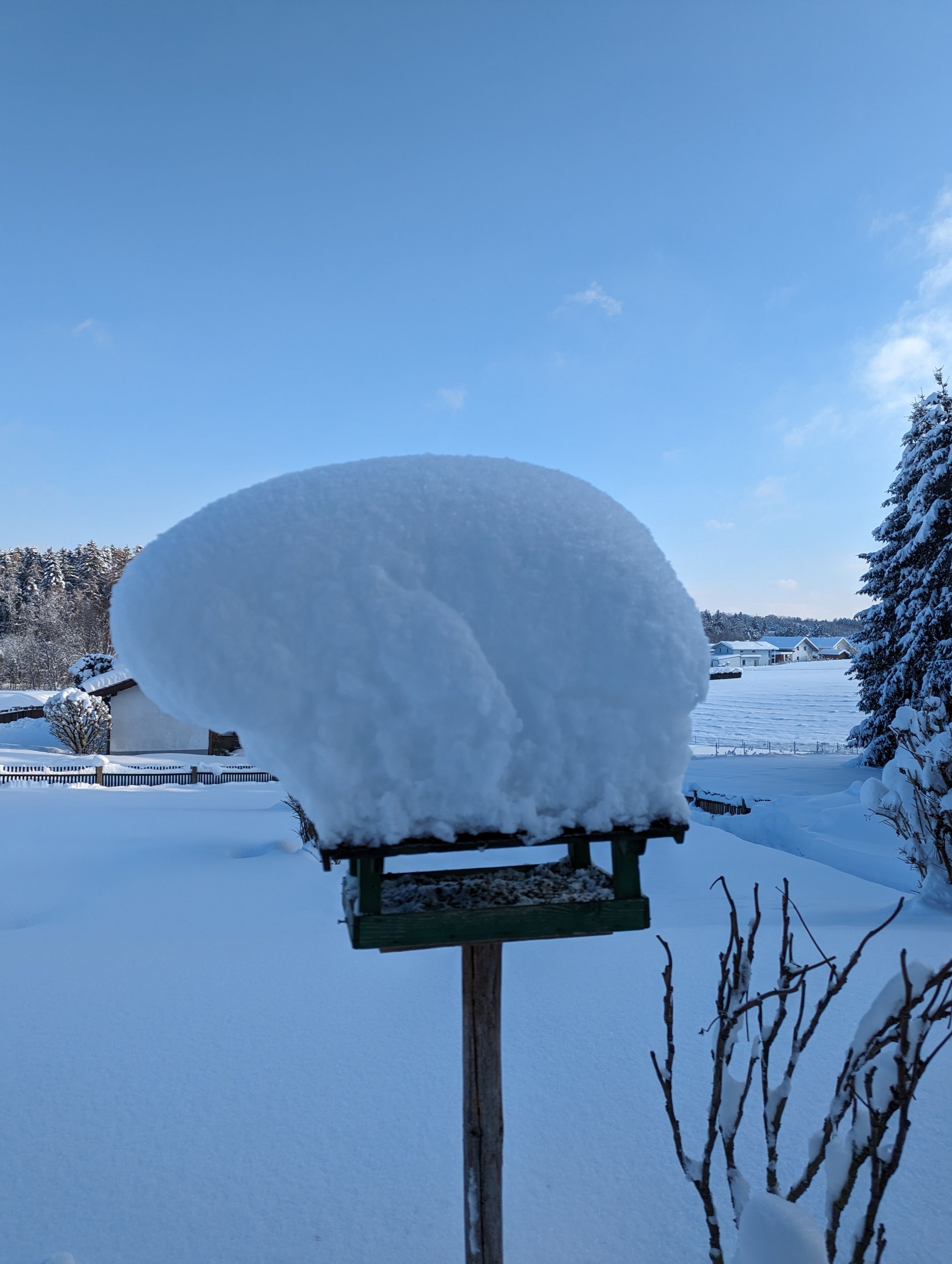 Winter 02.12.2023 2.jpg