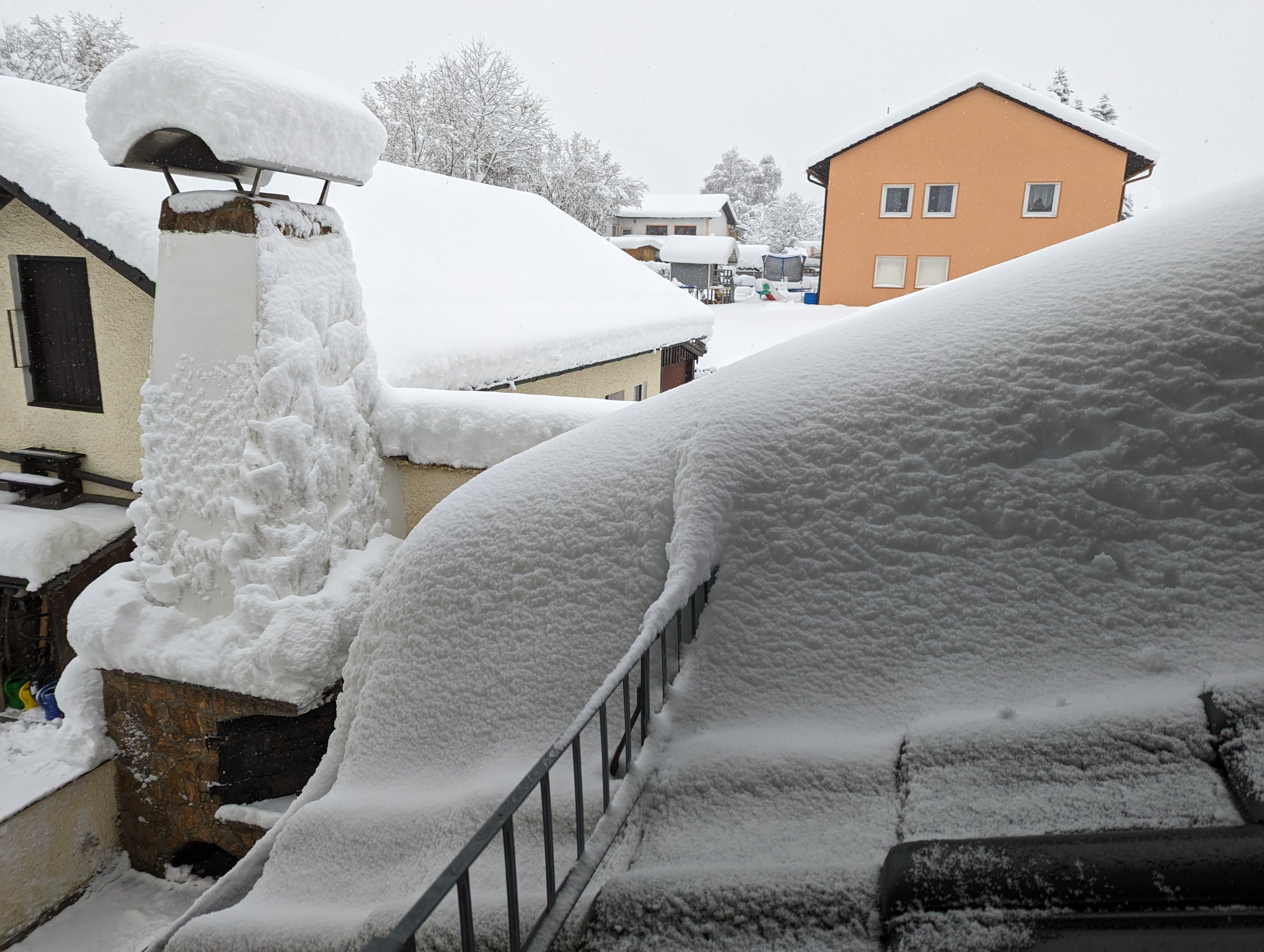 Winter 02.12.23.jpg