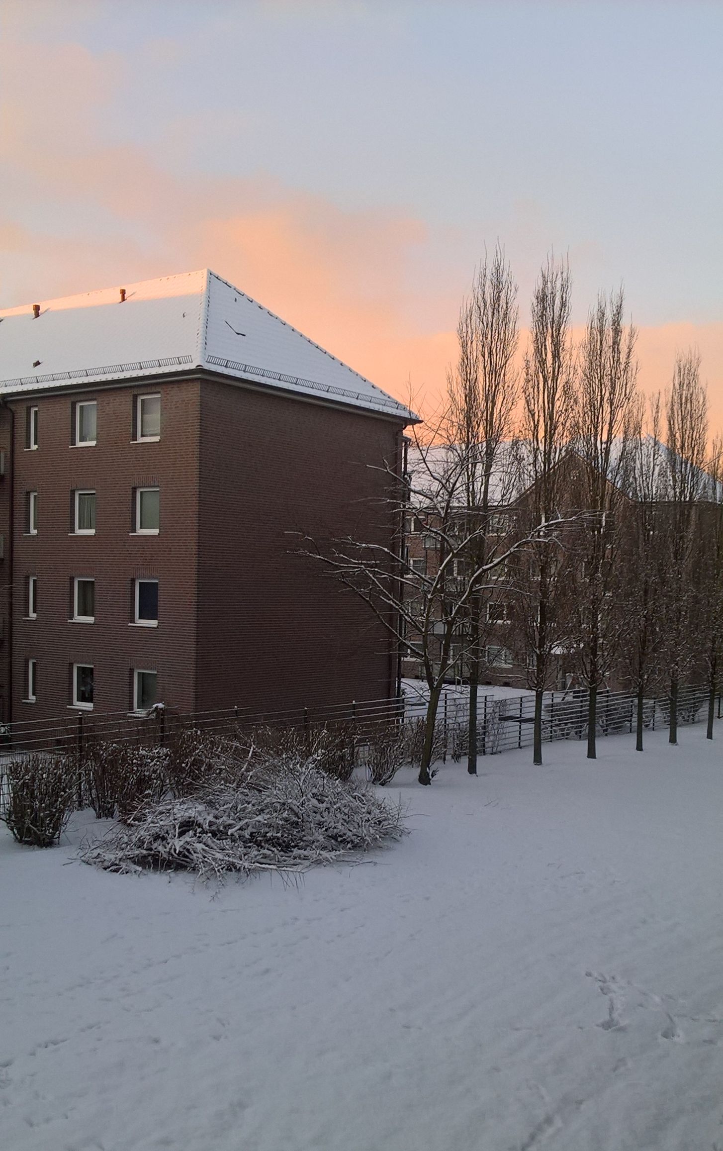 WP_20180226_07_29_54_Pro.jpg