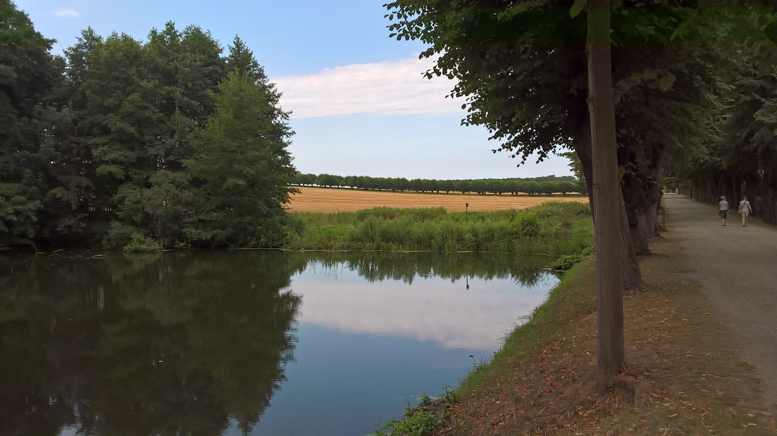 WP_20180801_10_03_38_Pro.jpg
