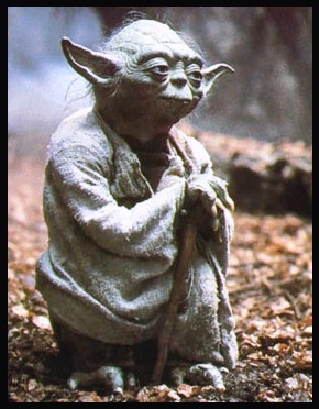 Yoda.jpg