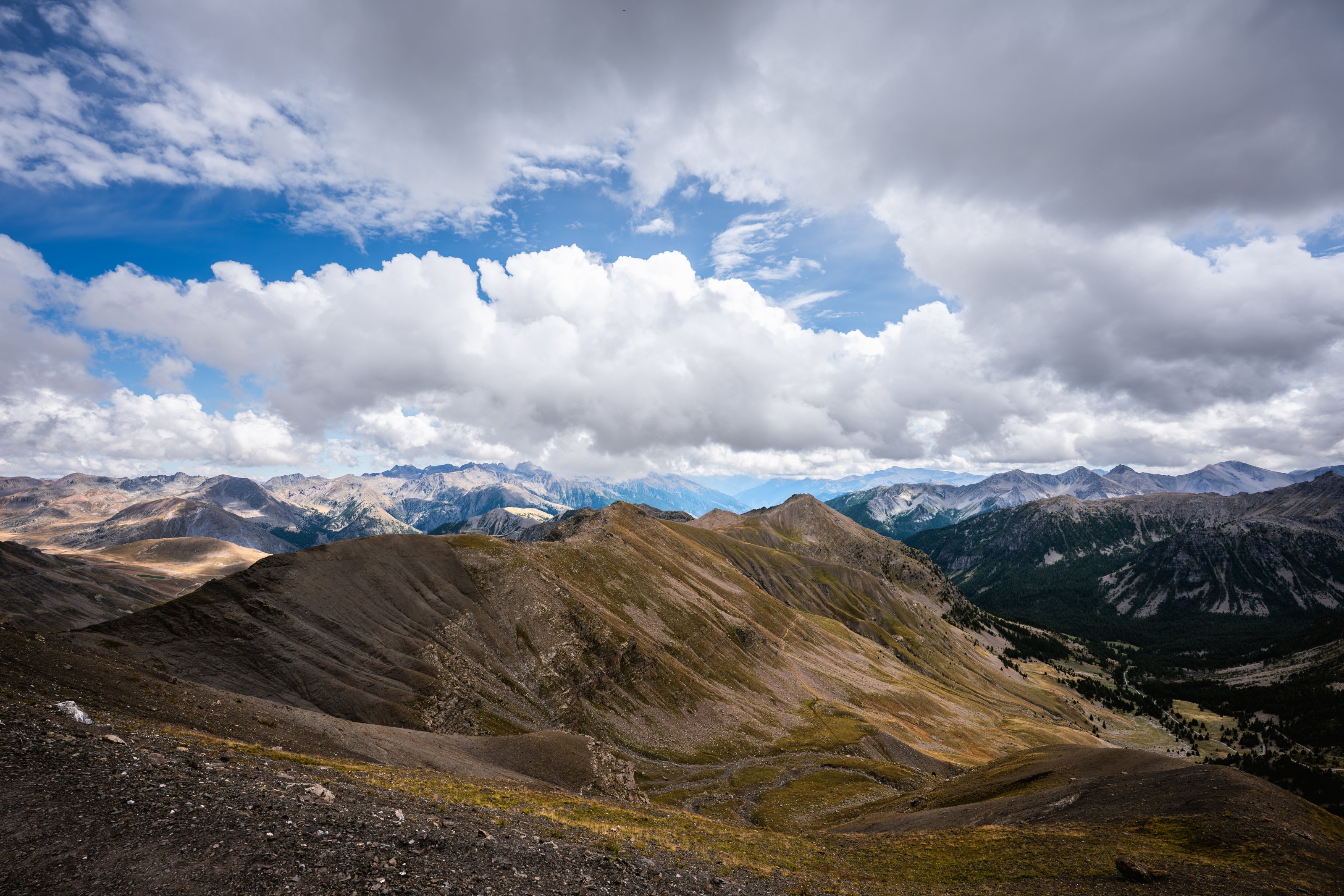 Z63_1052.jpg