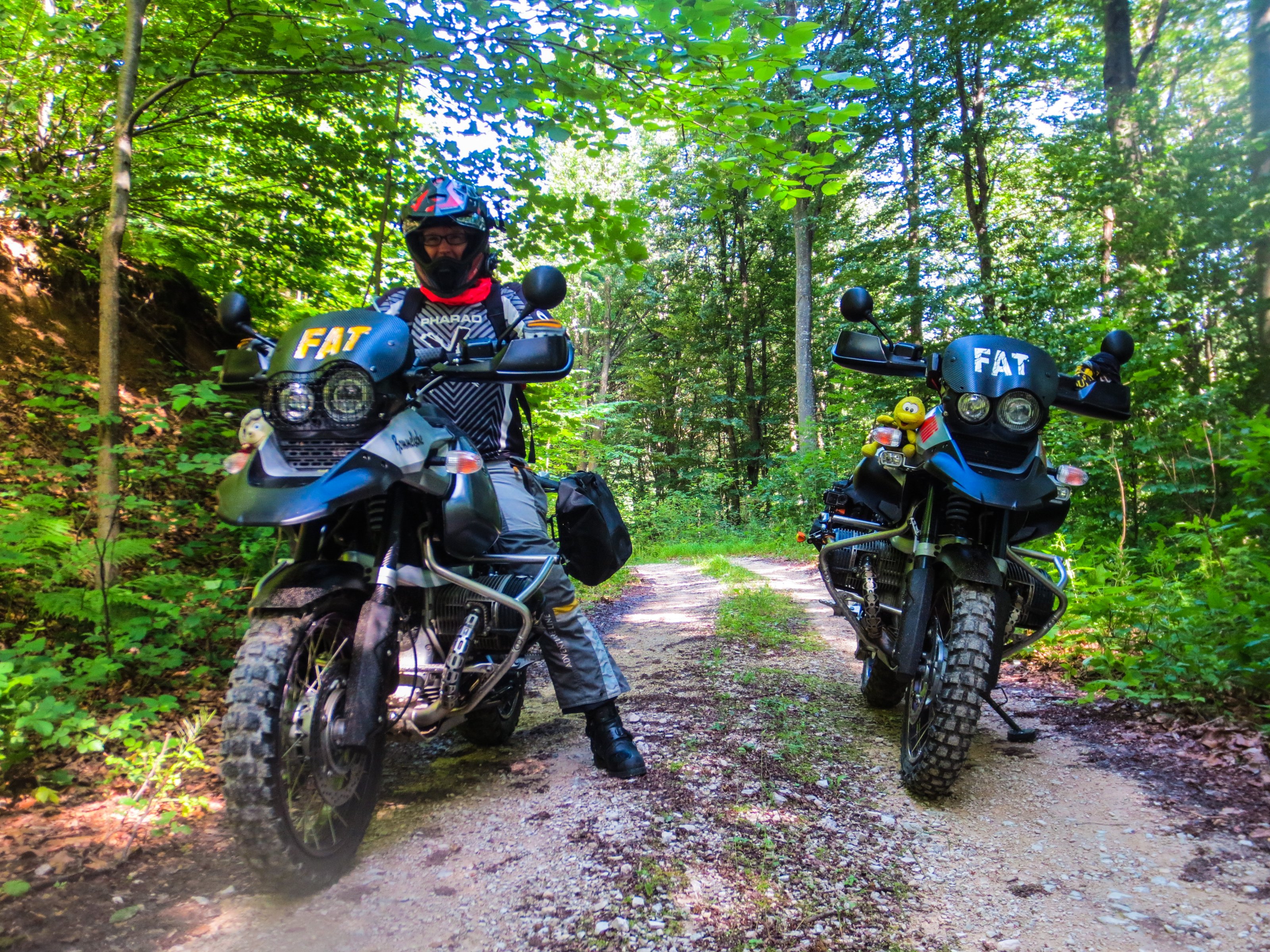 Zeljava Alex (7)_edited.jpg