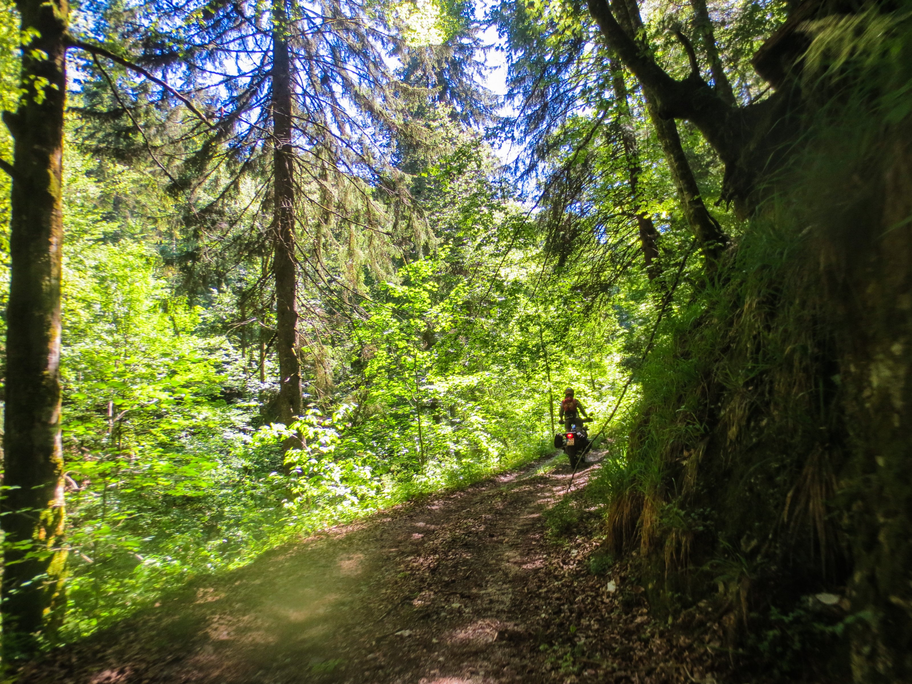 Zeljava Alex (89)_edited.jpg