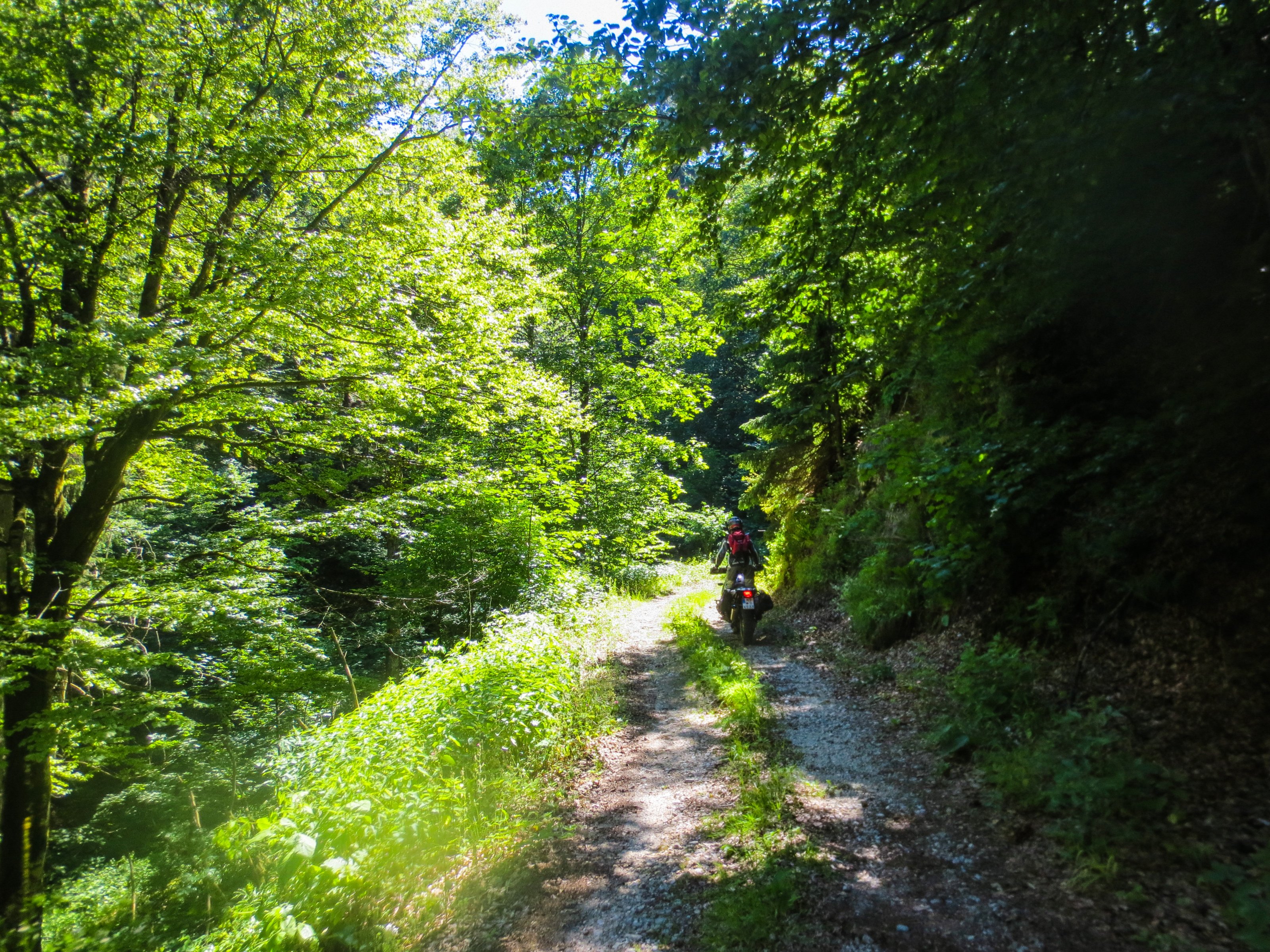 Zeljava Alex (92)_edited.jpg