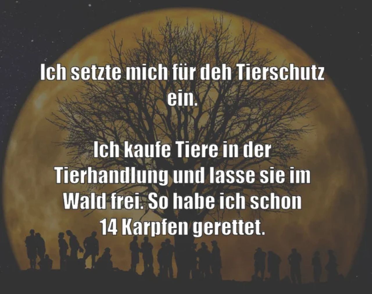 Zwischenablage_08-23-2025_01.jpg