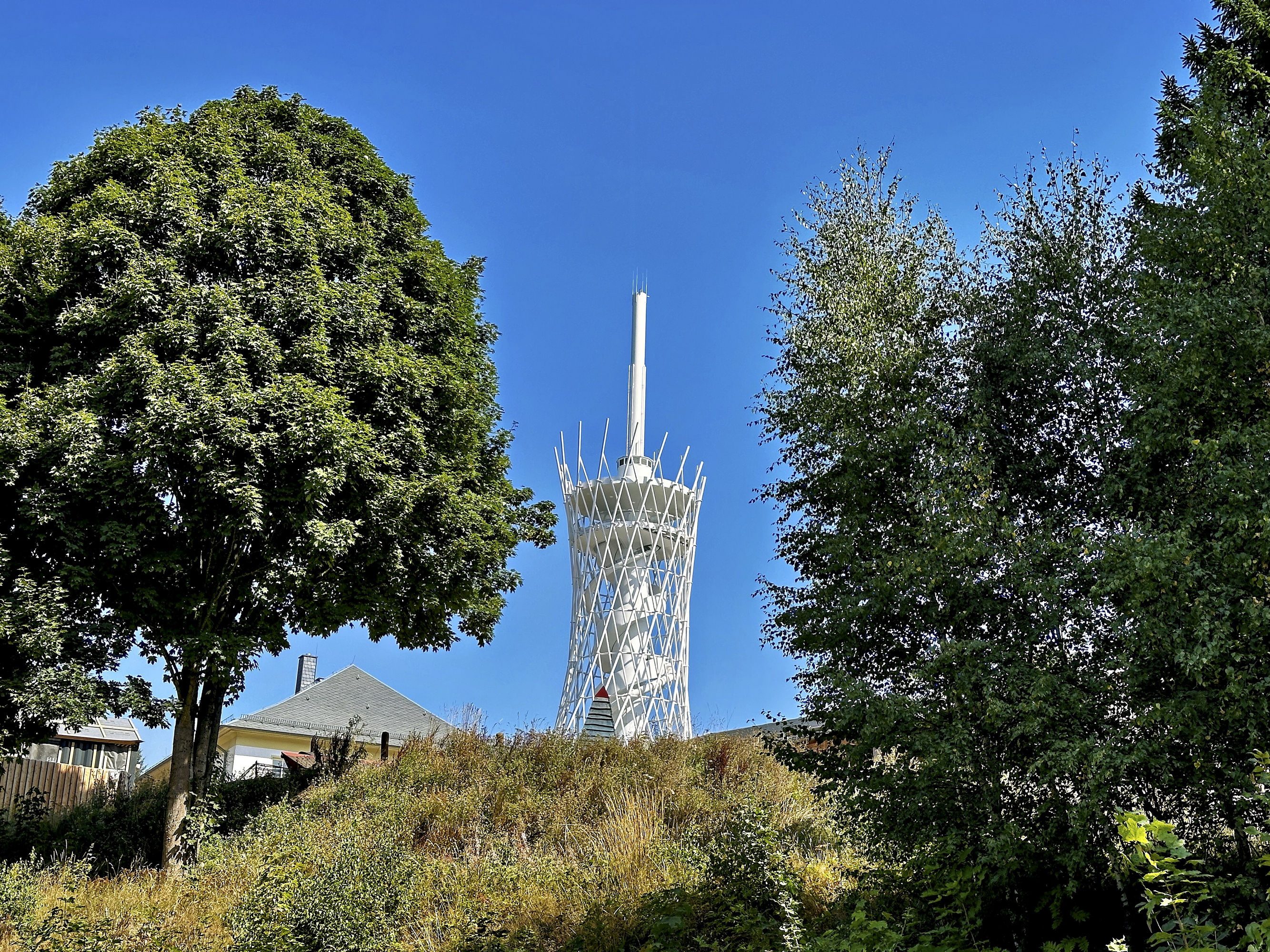 ZZ_2025-08-20 11-39-01_2.JPG