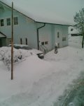 Winter.jpg