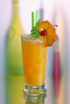 348_Cocktail_5_99.jpg