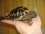 DSC00562.JPG
