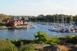 IMG_0688.jpg