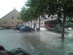 DSC02032.jpg