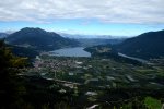 DSC_0310_v1.jpg