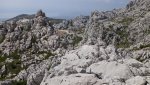 DSC00122.jpg